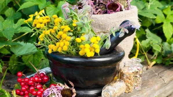 Rastlinski decoctions