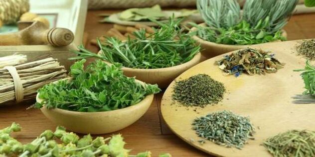 nageljnove žbice proti parazitom v telesu